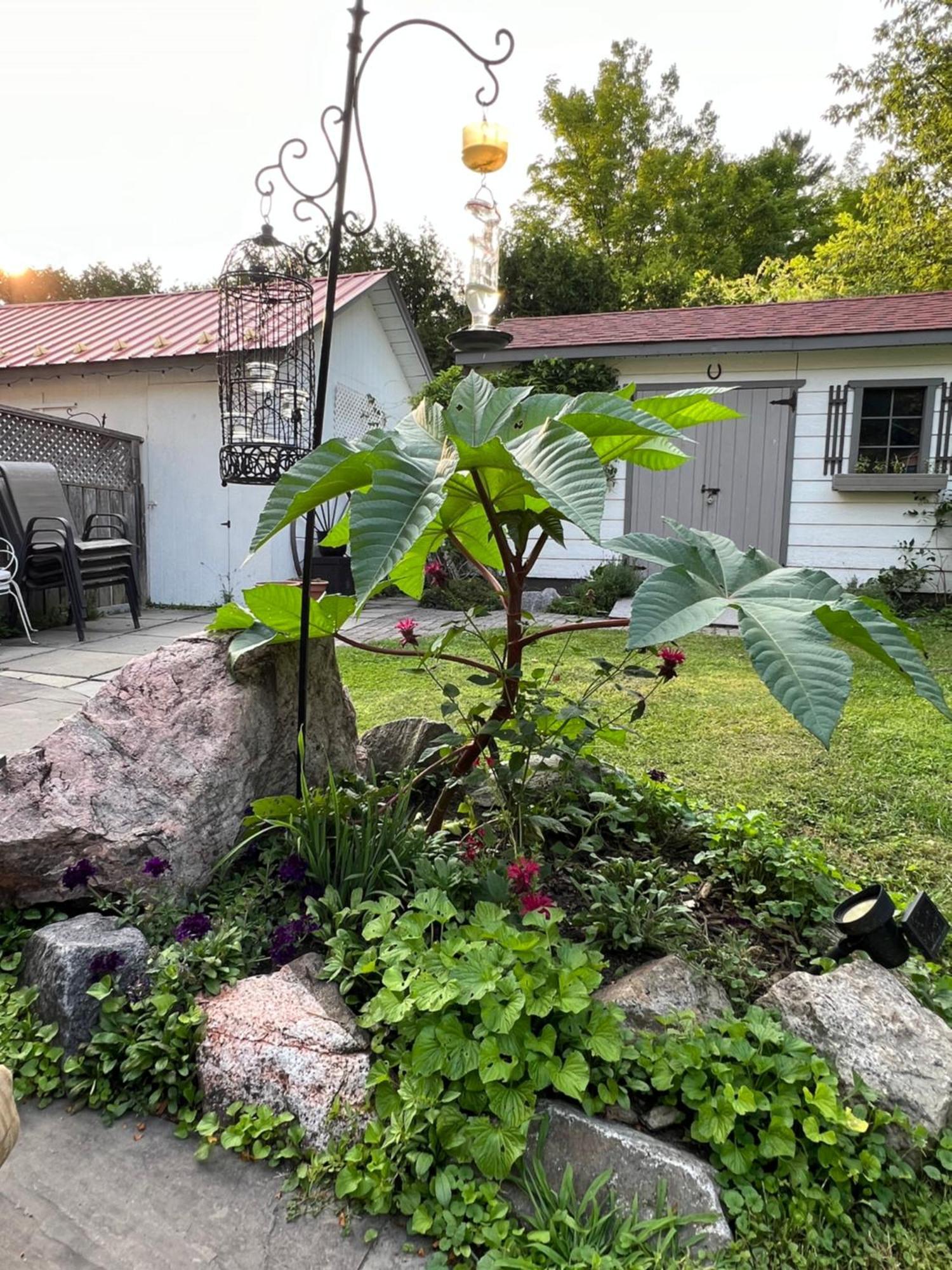 Les Trois Erables Boutique Inn Wakefield Dış mekan fotoğraf